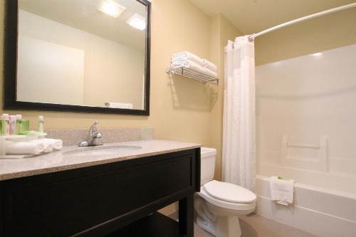 Holiday Inn Express Hotel & Suites Chicago-Libertyville image 1